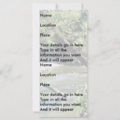 Clinch River Scenic (Back)