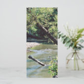 Clinch River Scenic (Standing Front)