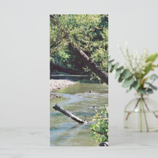 Clinch River Scenic (Standing Front)