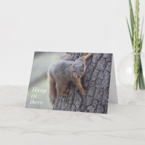 Clinging Squirrel Card