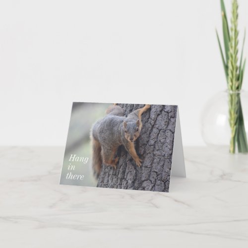 Clinging Squirrel Card