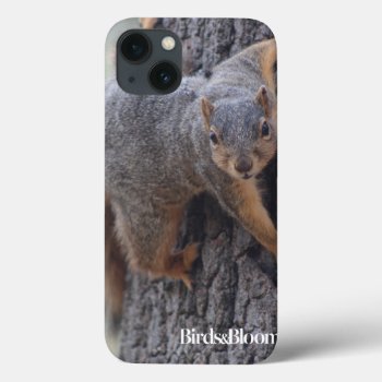Clinging Squirrel Iphone 13 Case by birdsandblooms at Zazzle