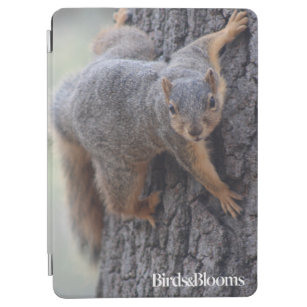 Clinging Squirrel iPad Air Cover