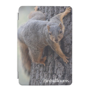 Clinging Squirrel iPad Mini Cover