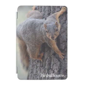 Clinging Squirrel Ipad Mini Cover by birdsandblooms at Zazzle