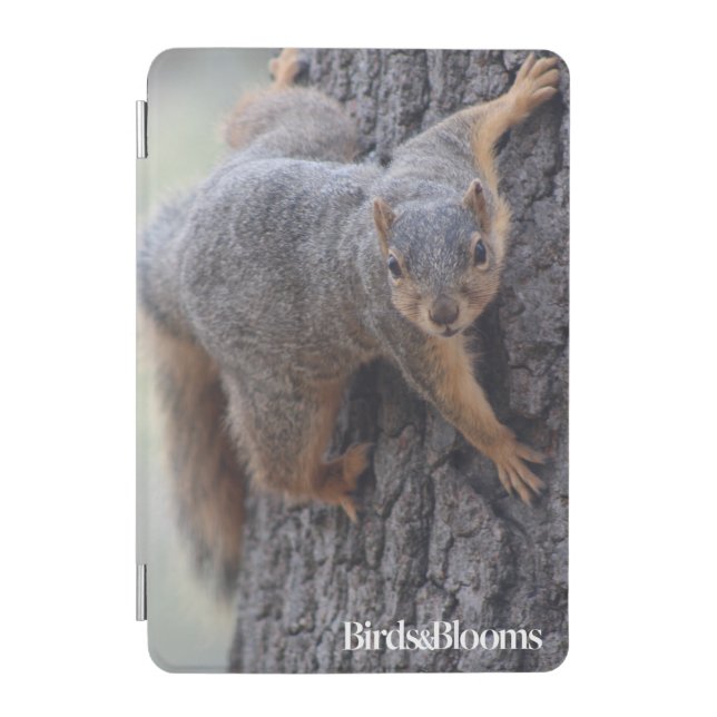 Clinging Squirrel iPad Mini Cover (Front)