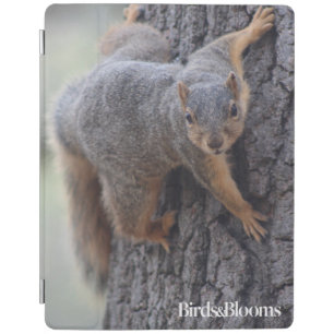Clinging Squirrel iPad Smart Cover