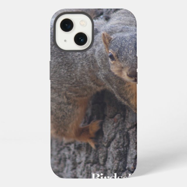 Clinging Squirrel Iphone Case (Back)