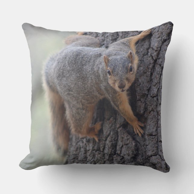 Clinging Squirrel Throw Pillow (Front)