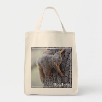 Clinging Squirrel Tote Bag by birdsandblooms at Zazzle