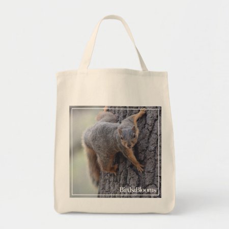 Clinging Squirrel Tote Bag