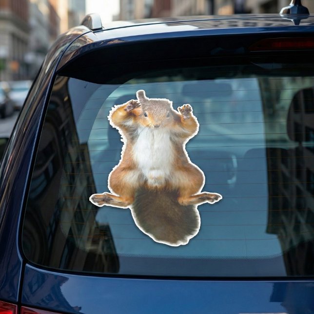 Clinging Squirrel Window Graphic Sticker (Hanging on for dear life.)