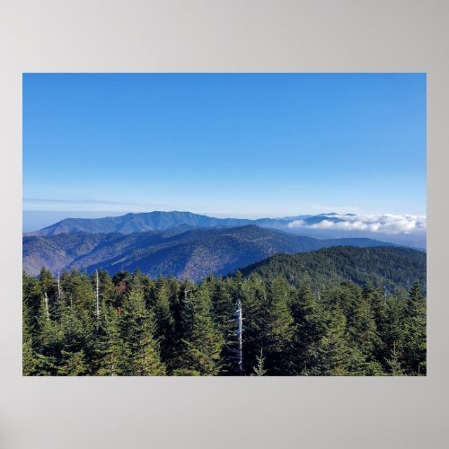 Clingmans Dome Great Smoky Mountains Poster