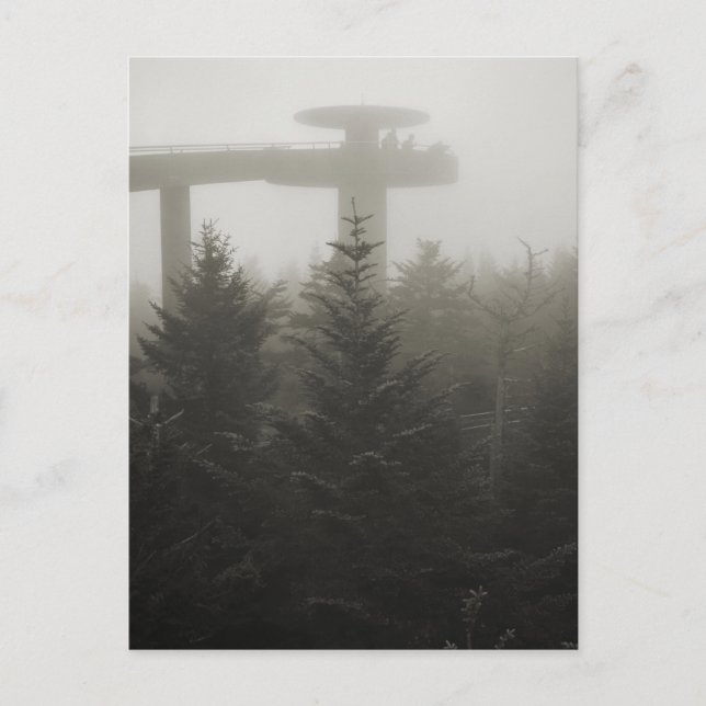 Clingmans Dome in the Fog - GSMNP -  Postcard (Front)