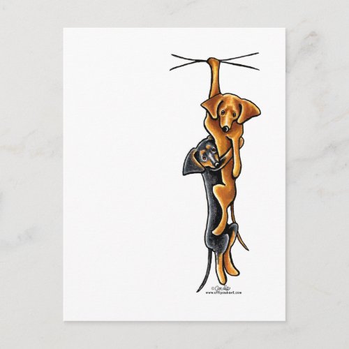 Clingy Dachshunds Postcard