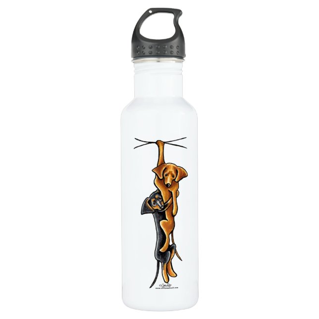 Clingy Dachshunds Water Bottle (Front)