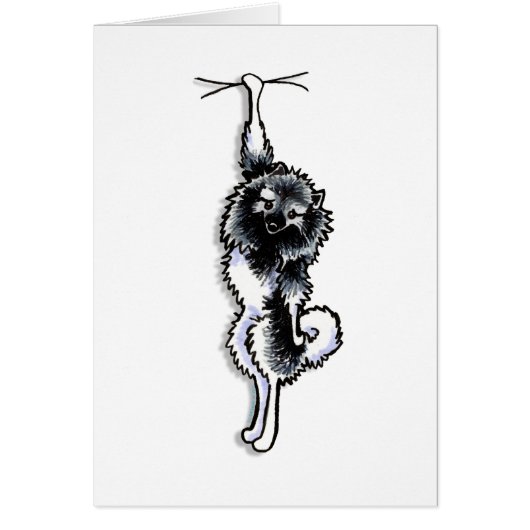 Clingy Keeshond Cards (Front)