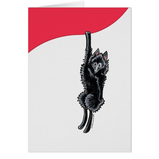Clingy Schipperke Cards (Front)