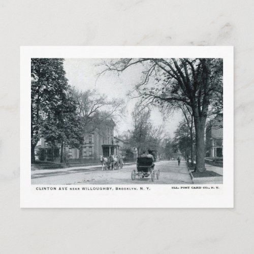 Clinton Ave Mansions Brooklyn Vintage Postcard