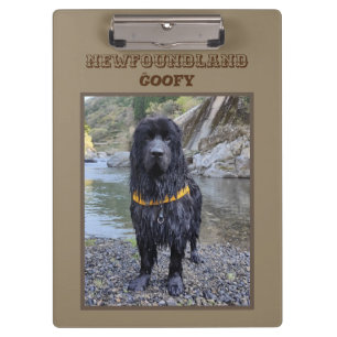 CLIP BOARD WITH PHOTOGRAPH