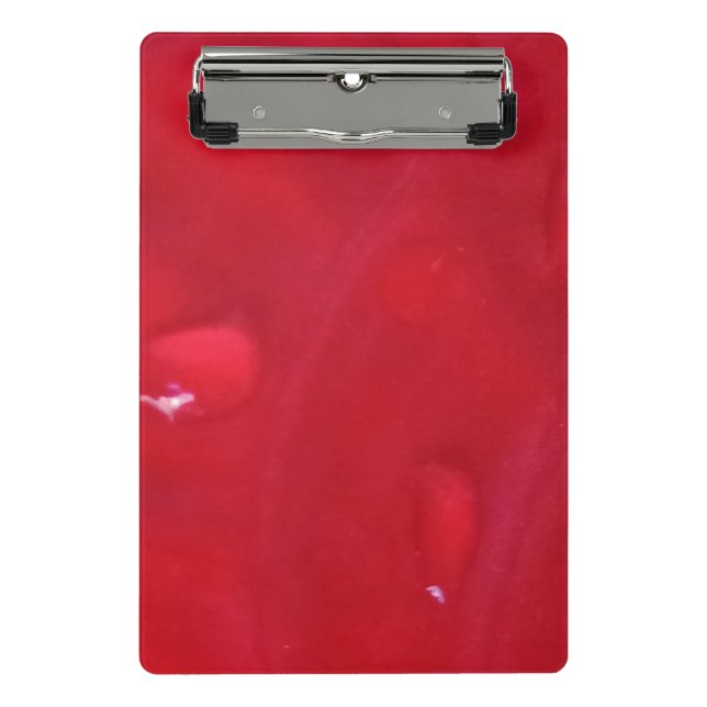 CLIPBOARD PRANCHET (Front)
