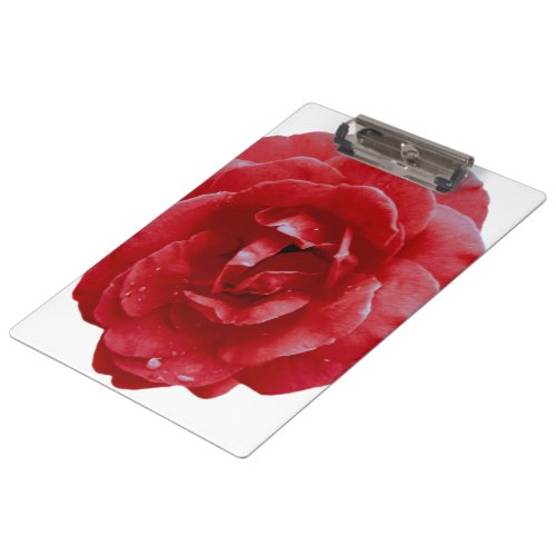 Clipboard _ Red Red Rose