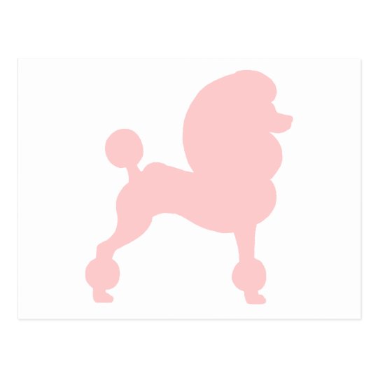 Clipped Standard Poodle (in light pink) Postcard