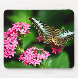 Clipper on Pentas 1 Mousepad