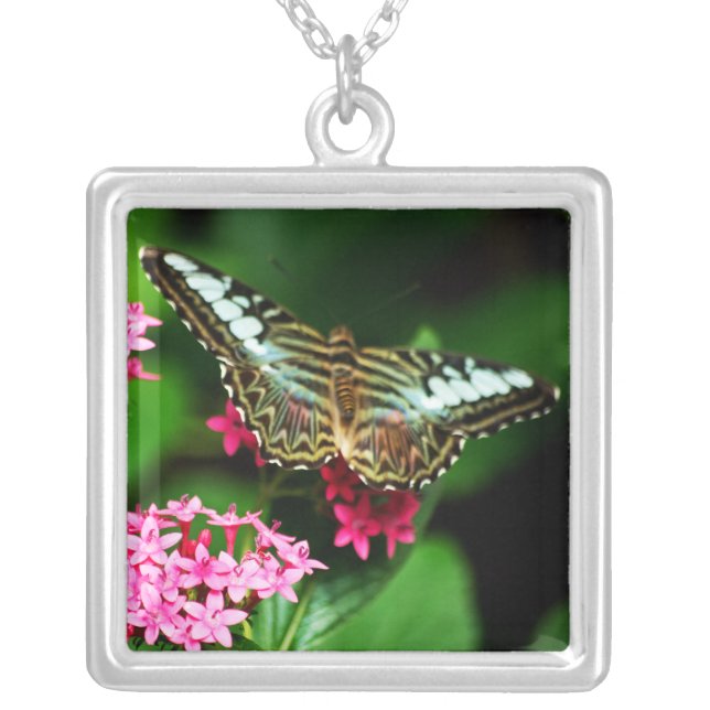 Clipper on Pentas 1 Necklace (Front)