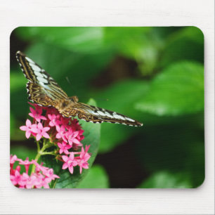 Clipper on Pentas 2 Mousepad