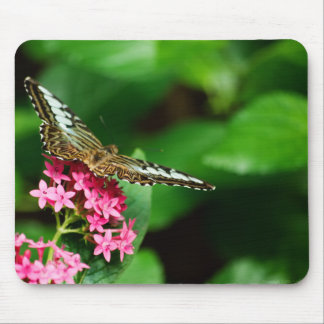 Clipper on Pentas 2 Mousepad