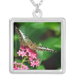 Clipper on Pentas 2 Necklace