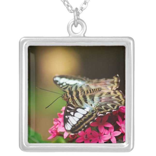 Clipper on Pentas 3 Necklace (Front)