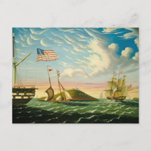 Clipper Ships Boston Harbor 1800s Postcard