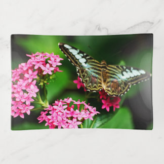 Clippers on Pentas 1 Trinket Tray