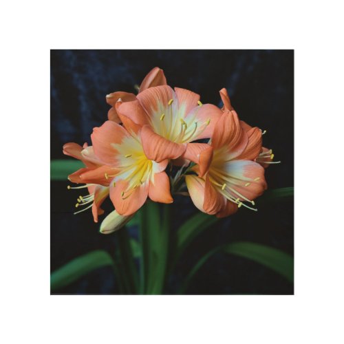 Clivia miniata Flower 001 Wood Wall Art _ 8 x 8