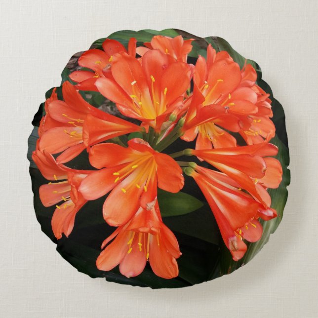 Clivia Miniata - The Orange Beautiful Flower Round Pillow (Front)