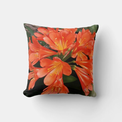 Clivia Miniata _ The Orange Beautiful Flower Throw Pillow