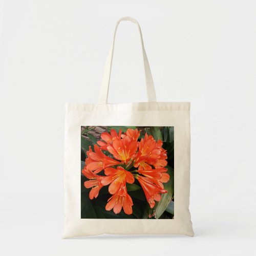 Clivia Miniata _ The Orange Beautiful Flower Tote Bag