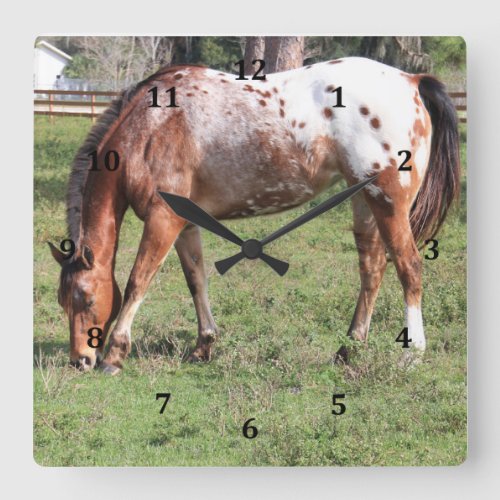 Clock Appaloosa Horse Square Wall Clock