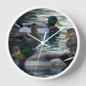 Clock - Duck Duck Duck Duck by PawsitiveDesigns at Zazzle