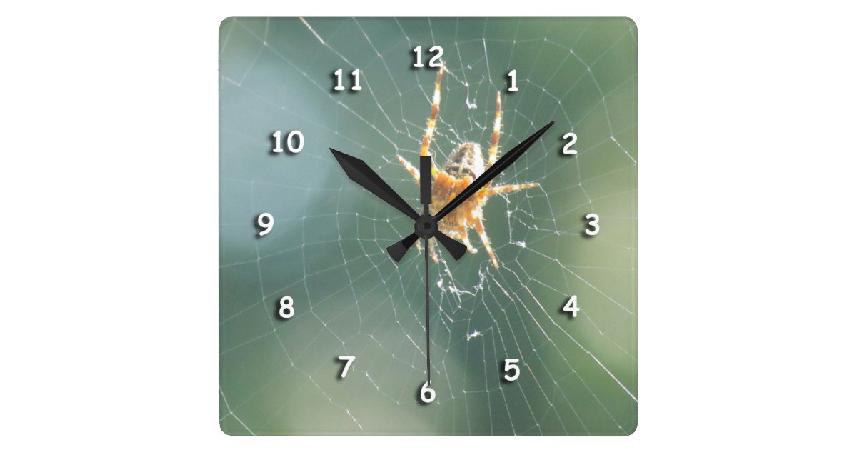 Clock - Spider on Web | Zazzle.com