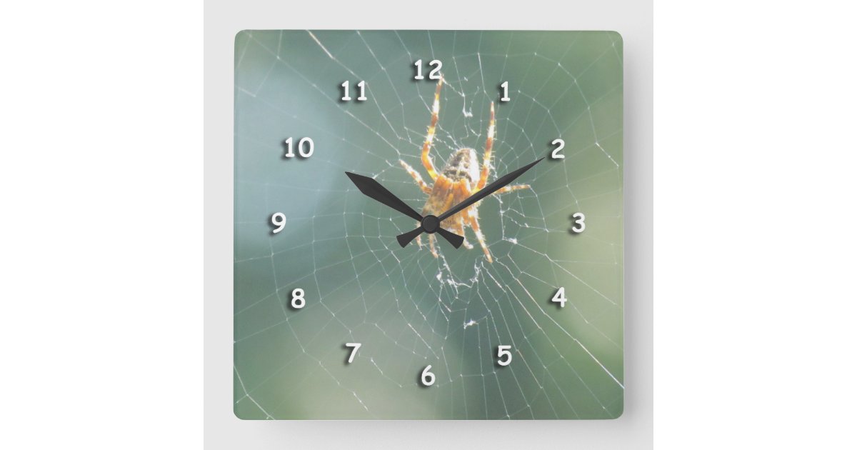 clock spider