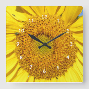 Clock - Sunflower Florets