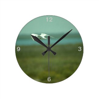 Clock - Tern in flight