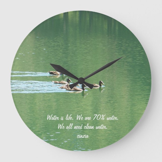 Clock with ducks swimming in a lake (Front)