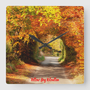 Clock Yellow Bog Kilcullen