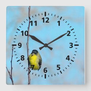 Clock - Yellow Finch