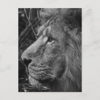 close bw postcard