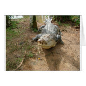 Close Call (Front Horizontal)